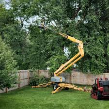 Best Landscape Design and Installation  in Westville, OK