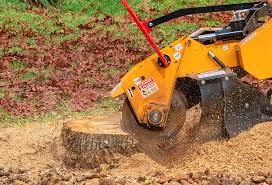 Best Fruit Tree Pruning  in Westville, OK