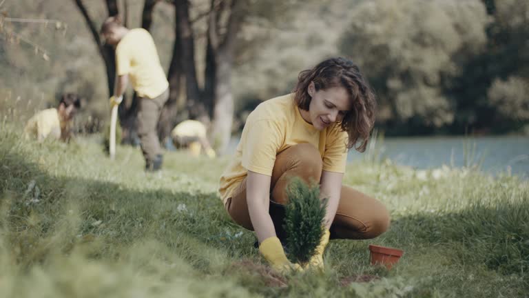 Best Lawn Renovation and Restoration  in Westville, OK